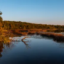 Door County Land Trust