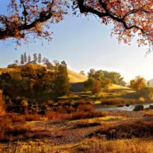 American River Conservancy