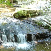 Rockburn Land Trust