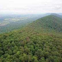 Central Pennsylvania Conservancy