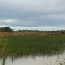 Eastern Shore Land Conservancy