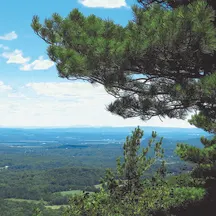 The Land Conservancy of New Jersey