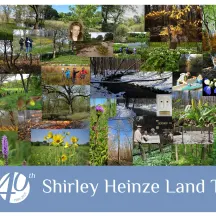 Shirley Heinze Land Trust, Inc.