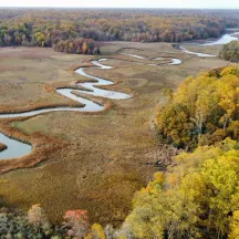 American Chestnut Land Trust