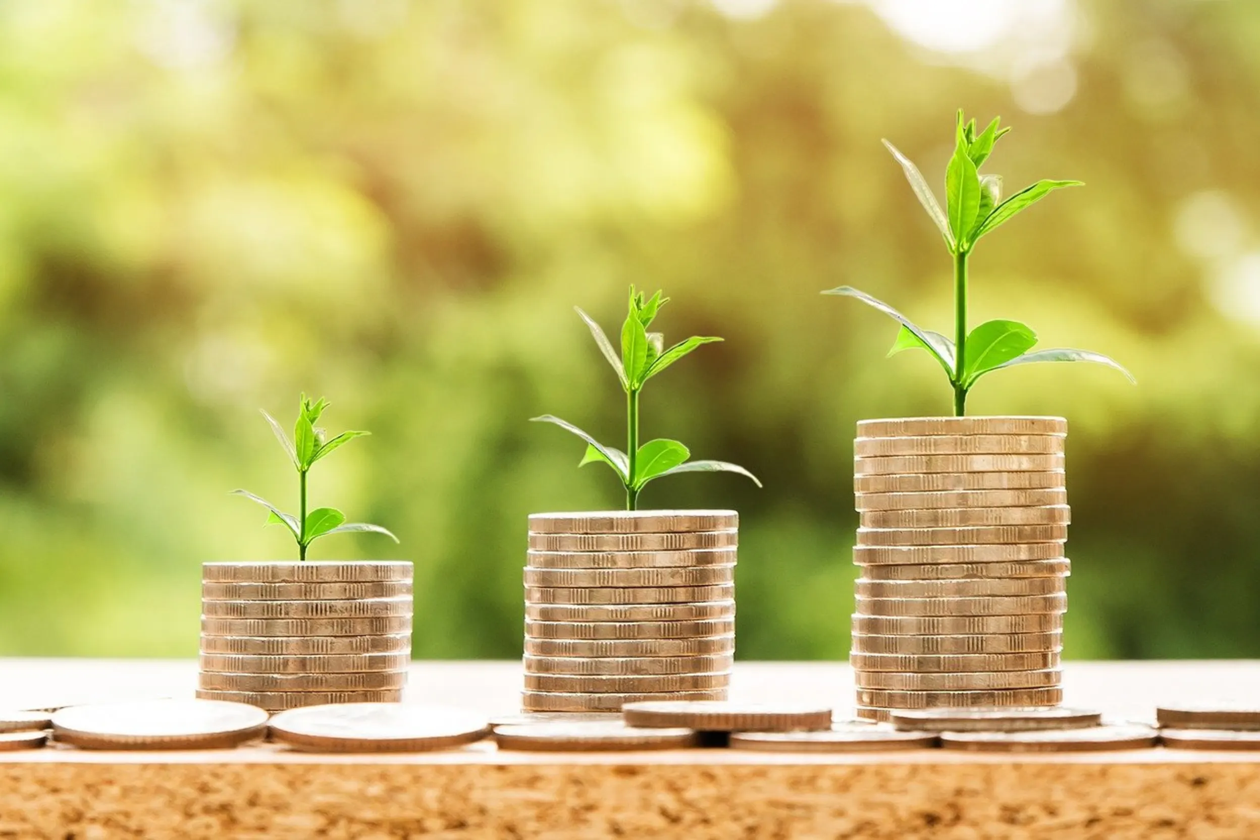 Photo of coins stacked up with seedlings coming out of them.