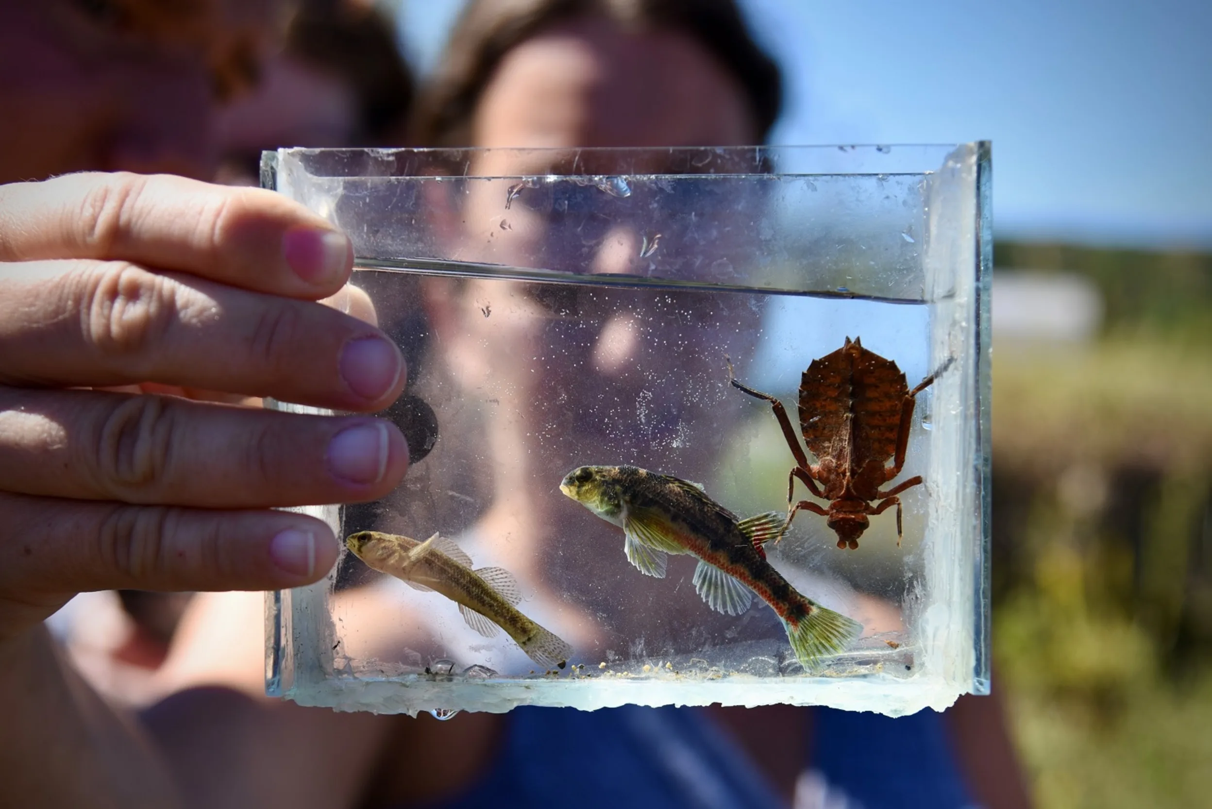 A young woman holds up a small container of water containing two tiny fish and an insect for viewing.