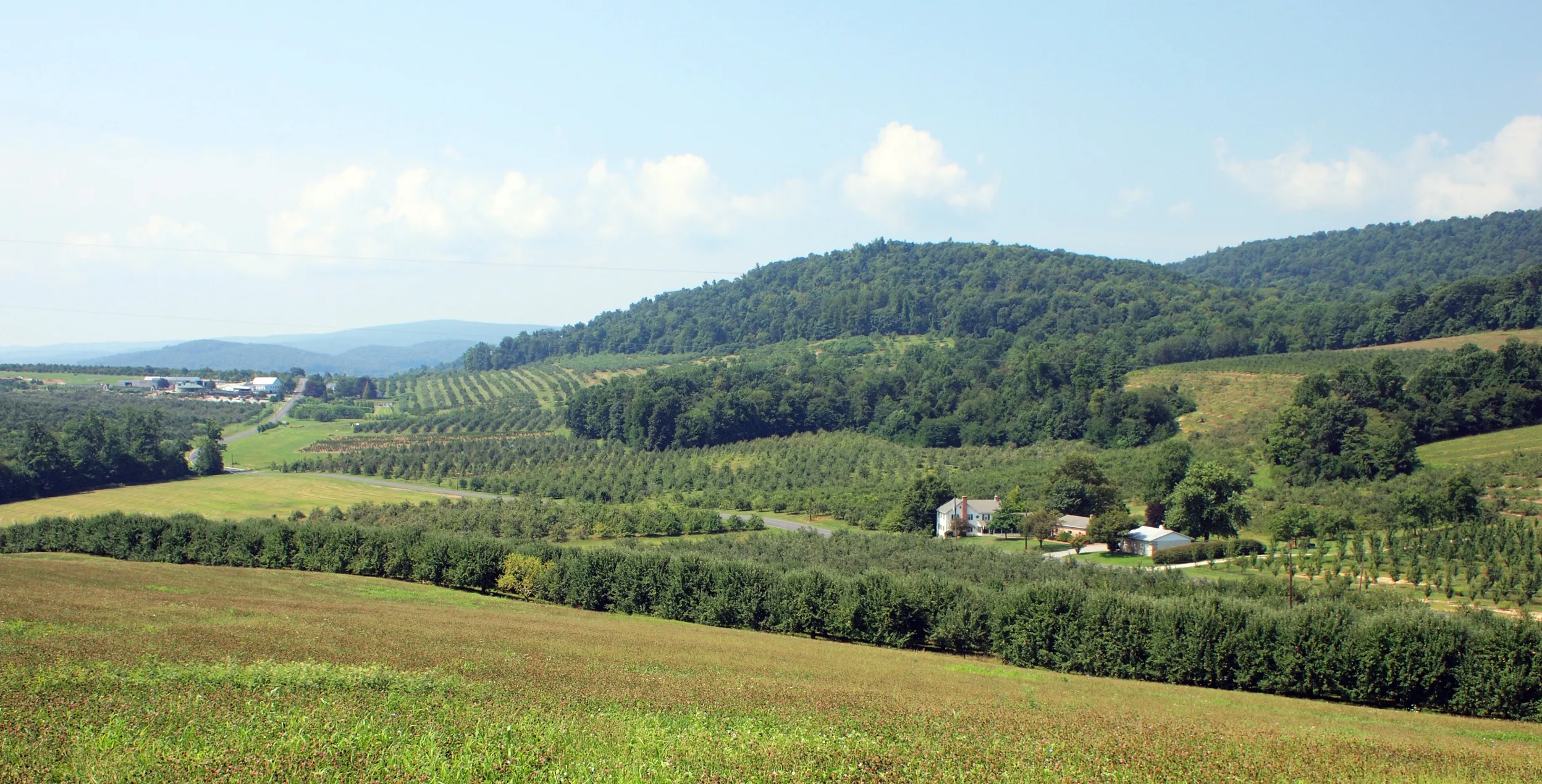 ACEPALE Success Story Boyer Nurseries & Orchards Land Trust Alliance