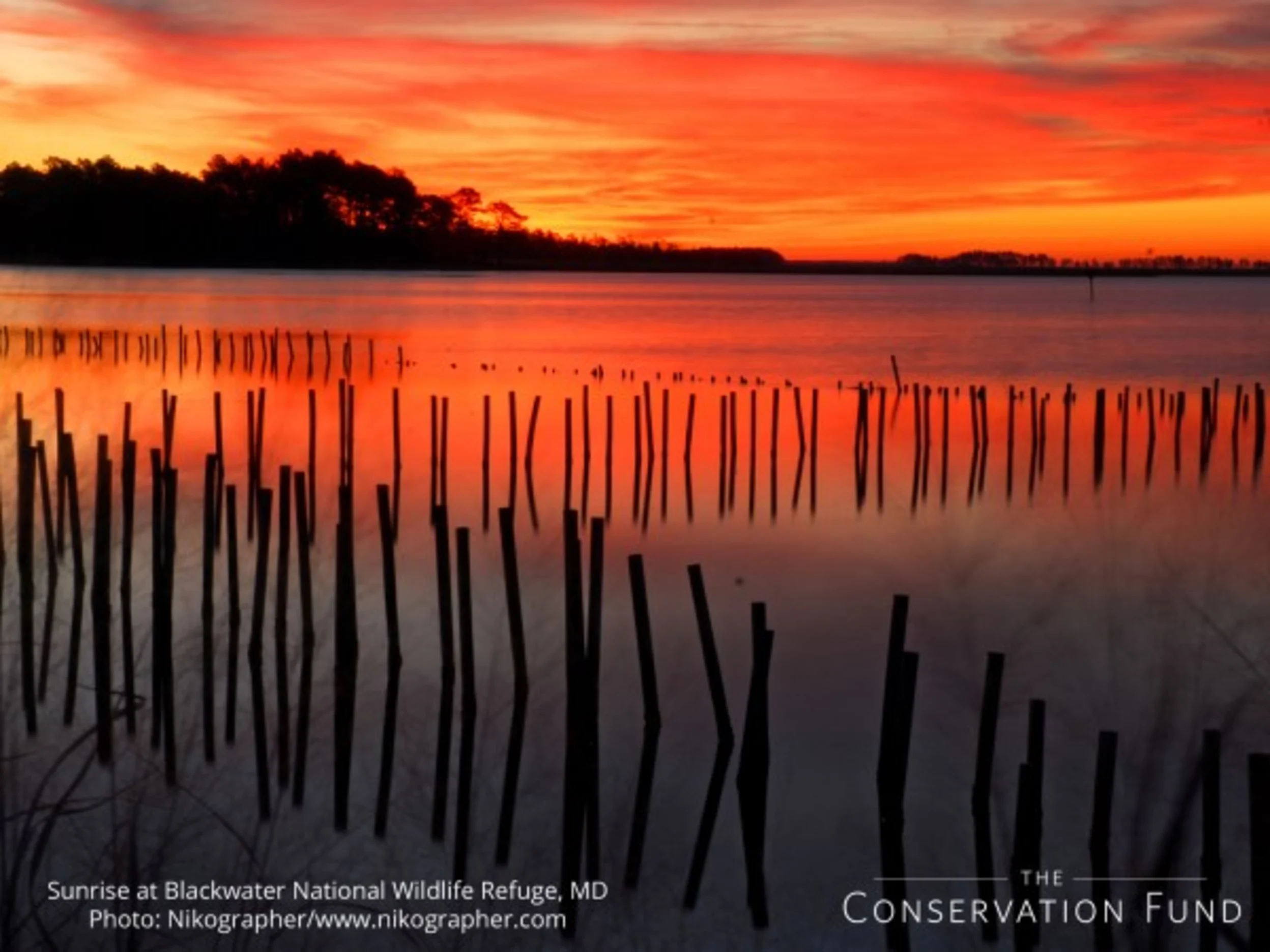 Sun rising with bright orange sun over a foggy marsh with sticks coming out of it.