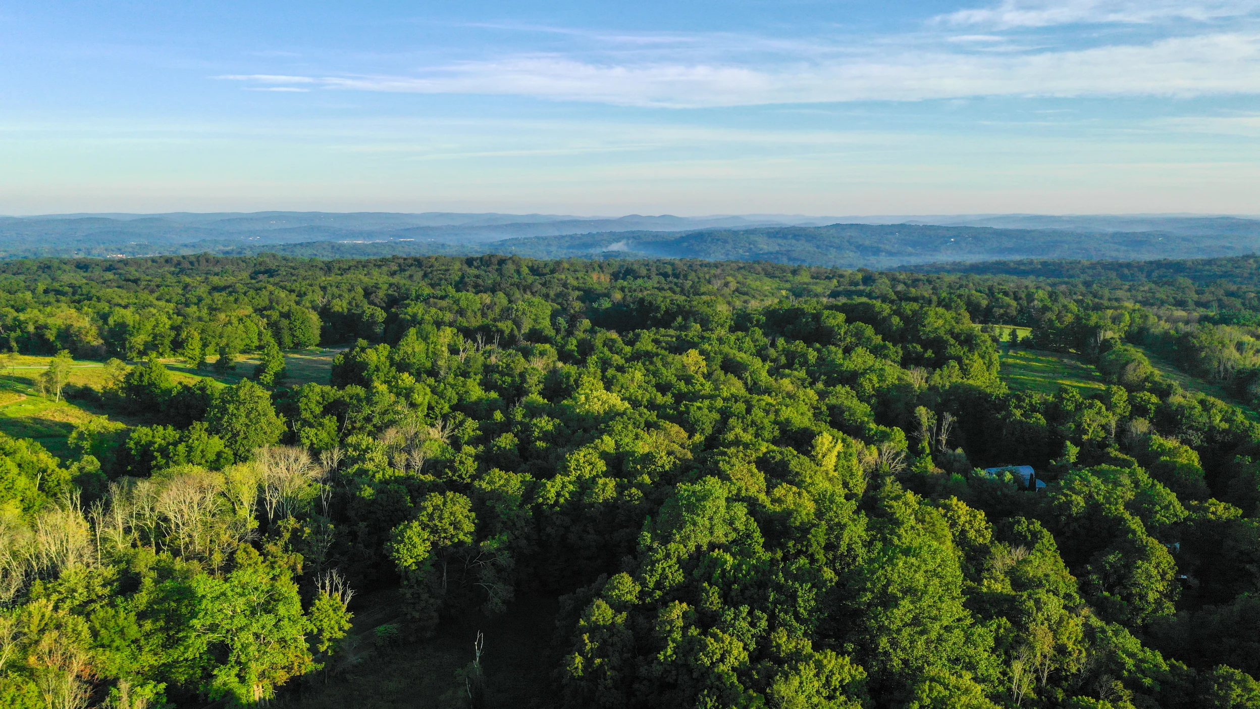 Green forest from above with a house in the middle.