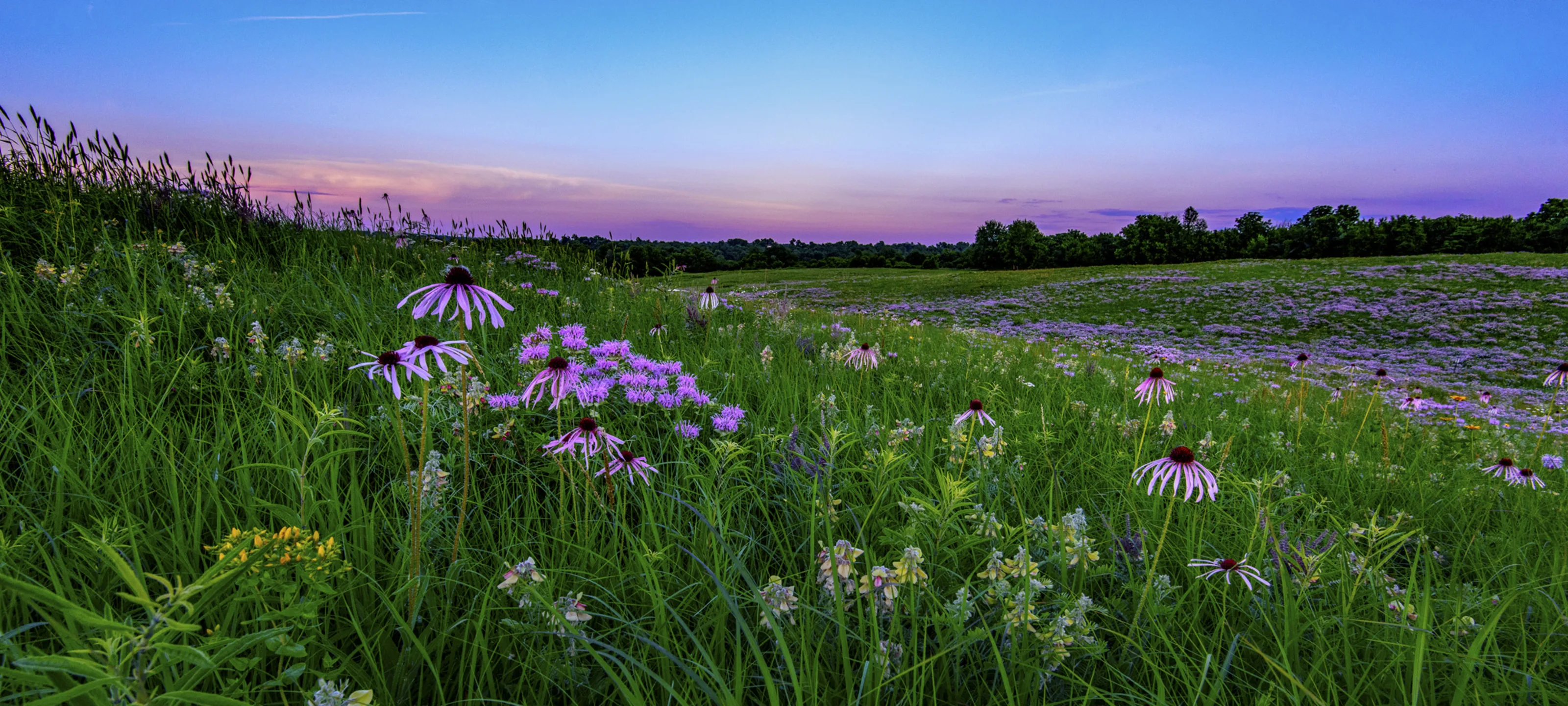 Feng Shui Friday—pantry organization — Montana Prairie Tales