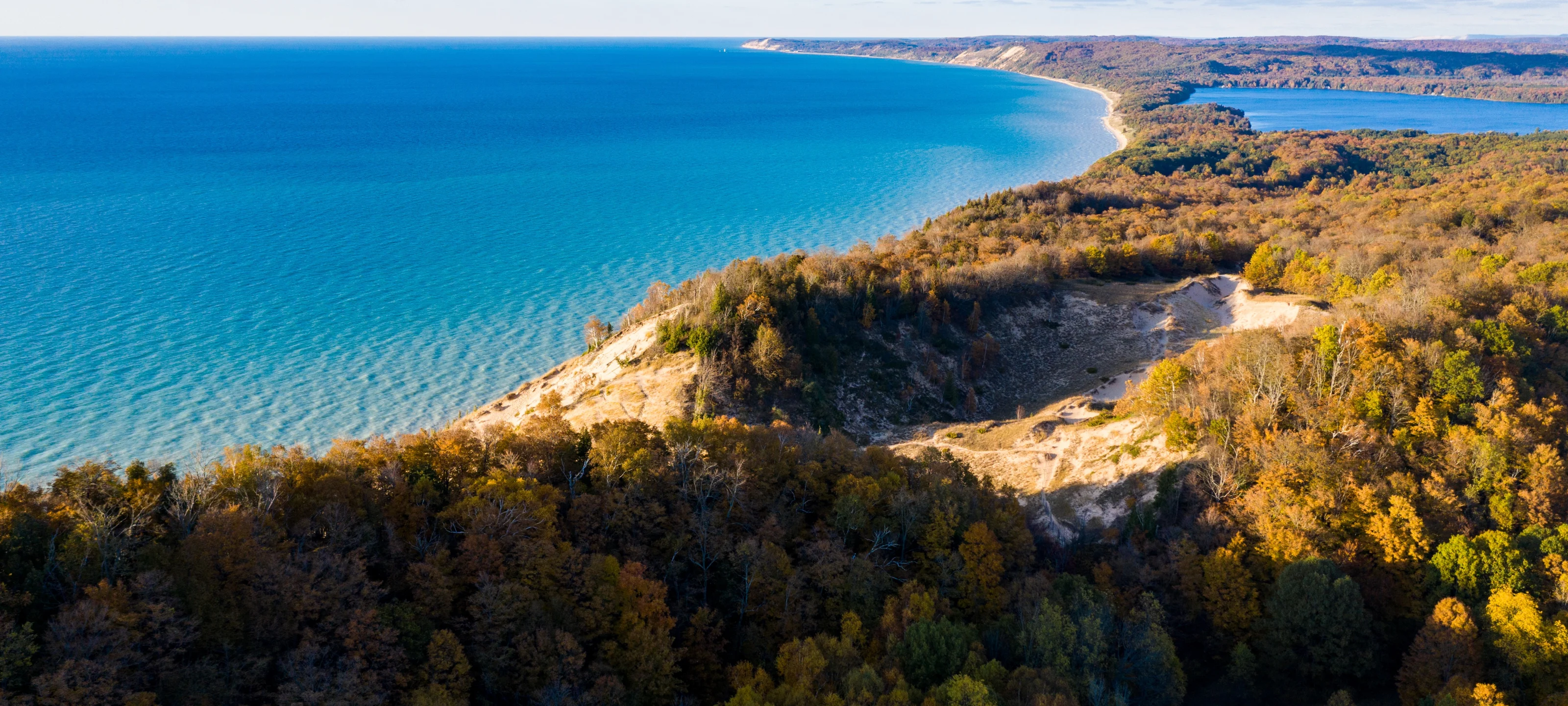 White Pine — Grand Traverse Conservation District