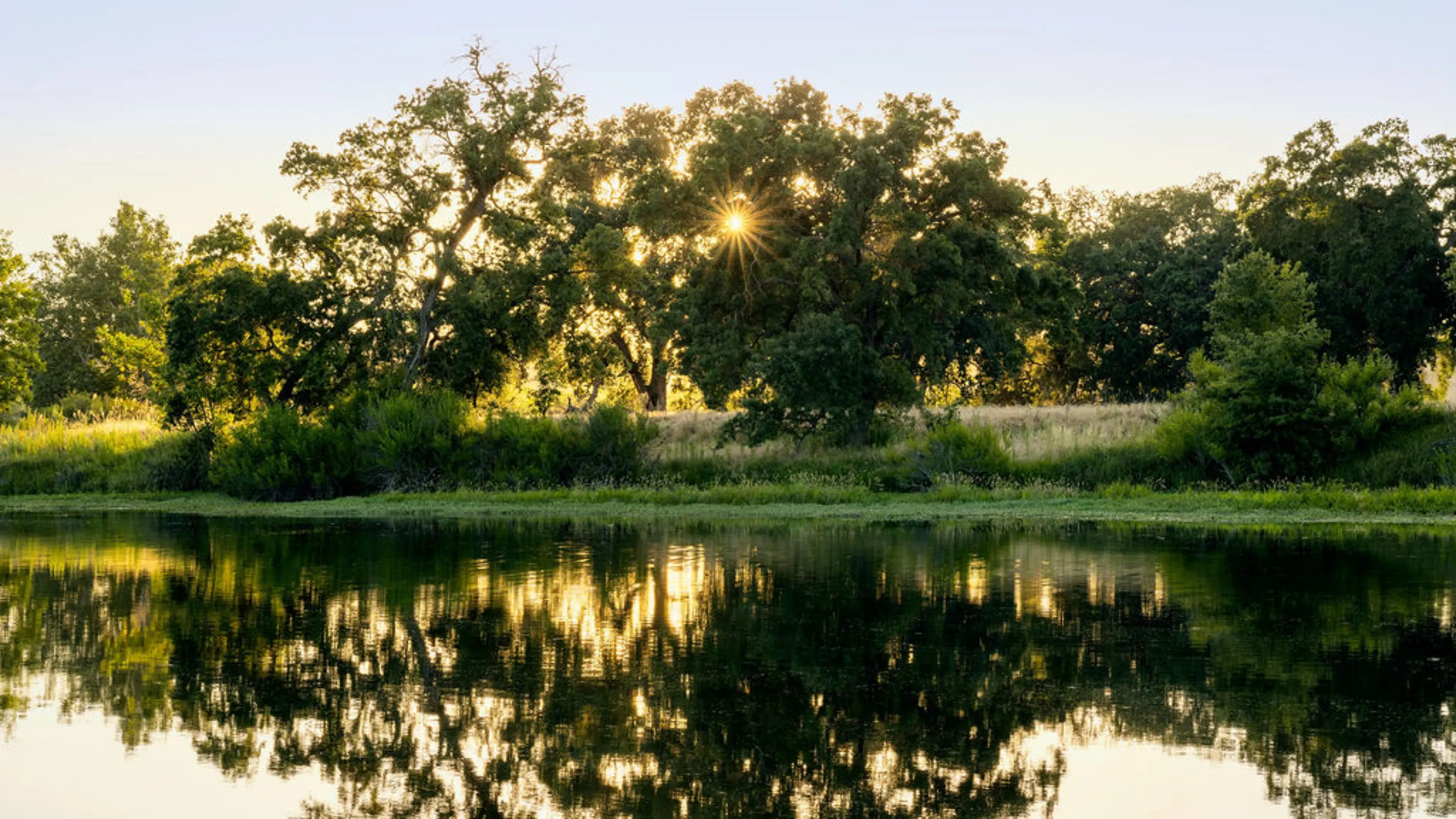 Sun setting behind a tree in front a river, the tree reflecting in the river.