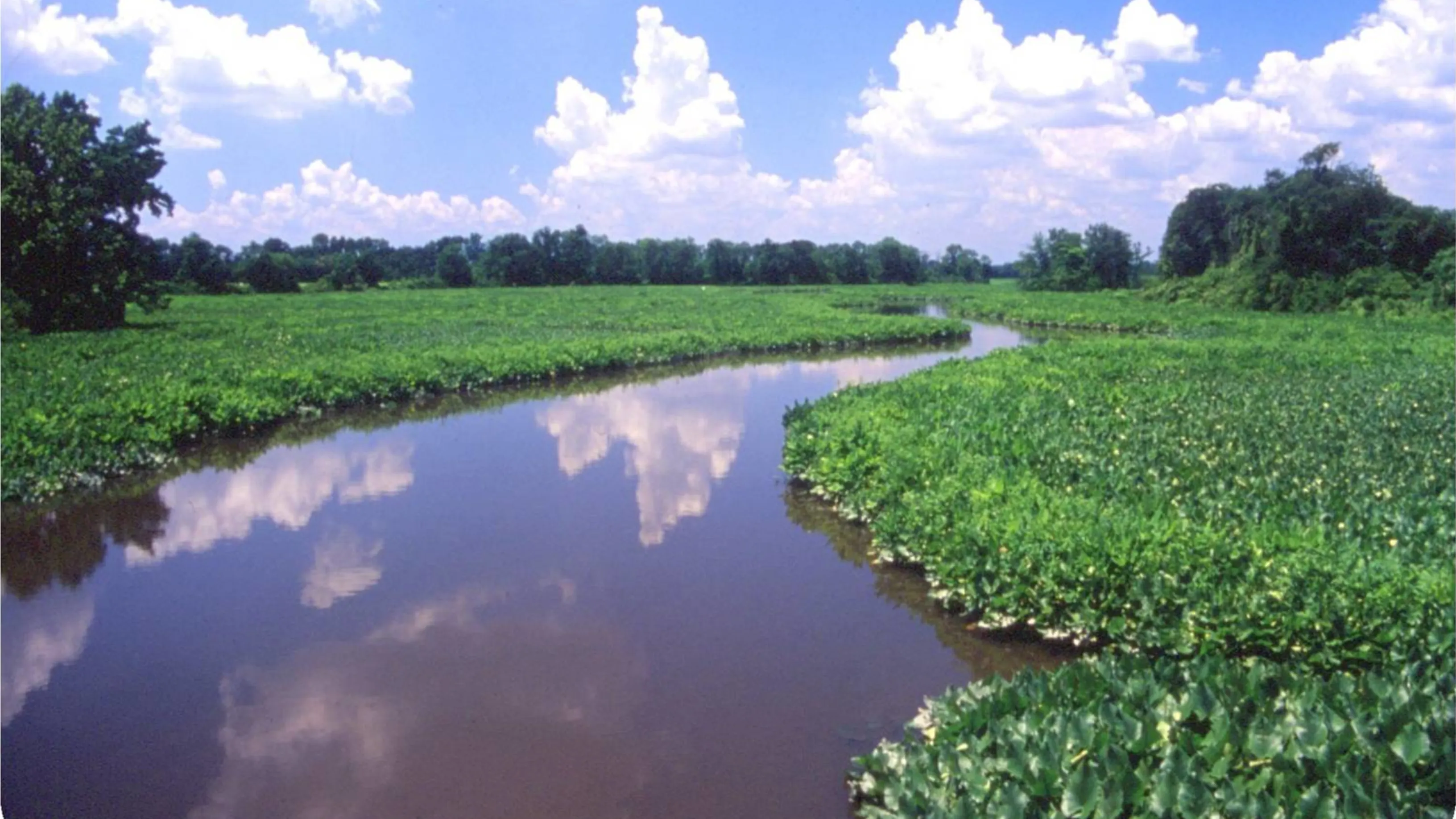 A creek with clouds reflecting in it is surrounded by short green fields.