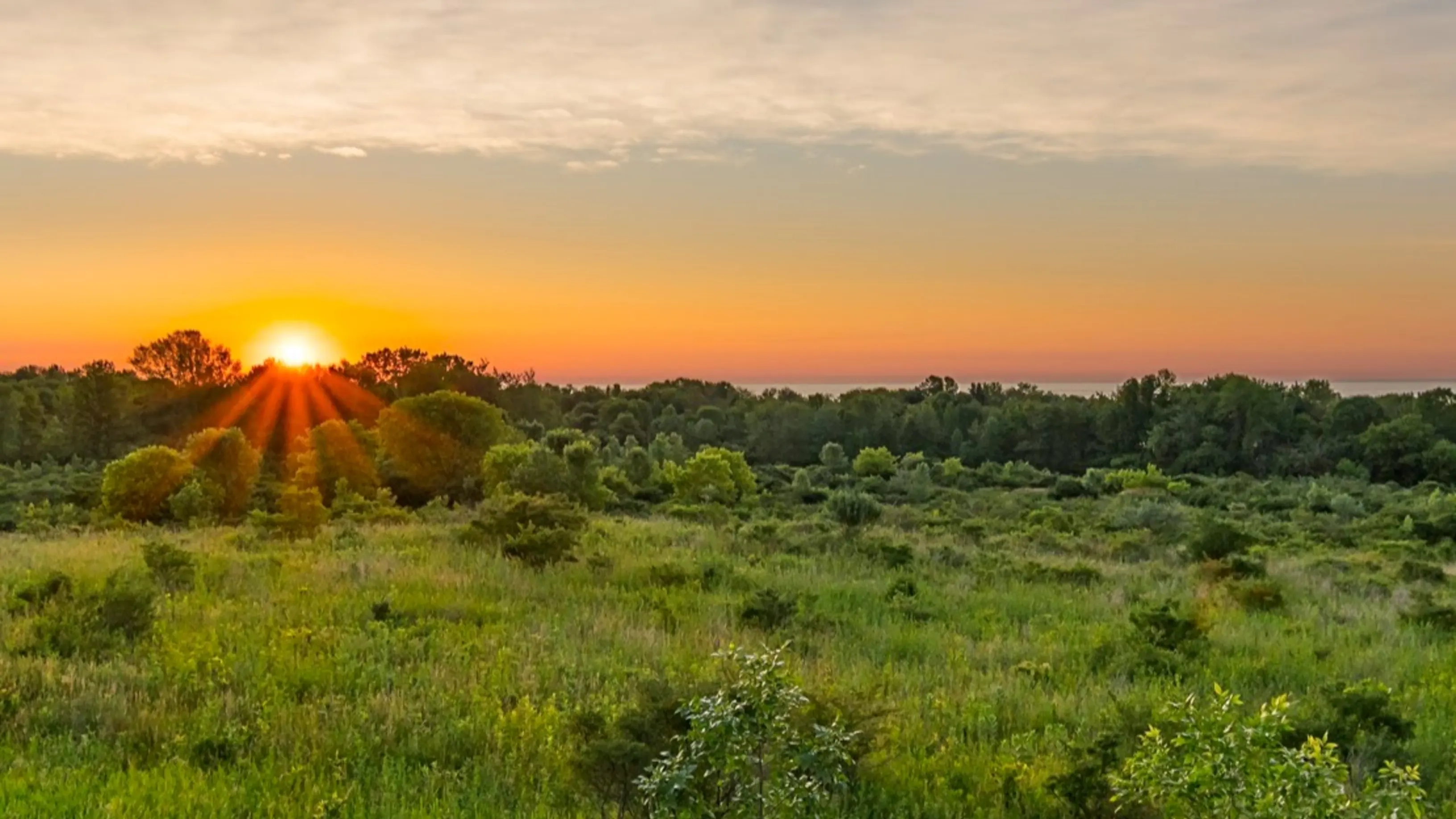 Sun rising over lush fields surrounded by forests and water in the distance.