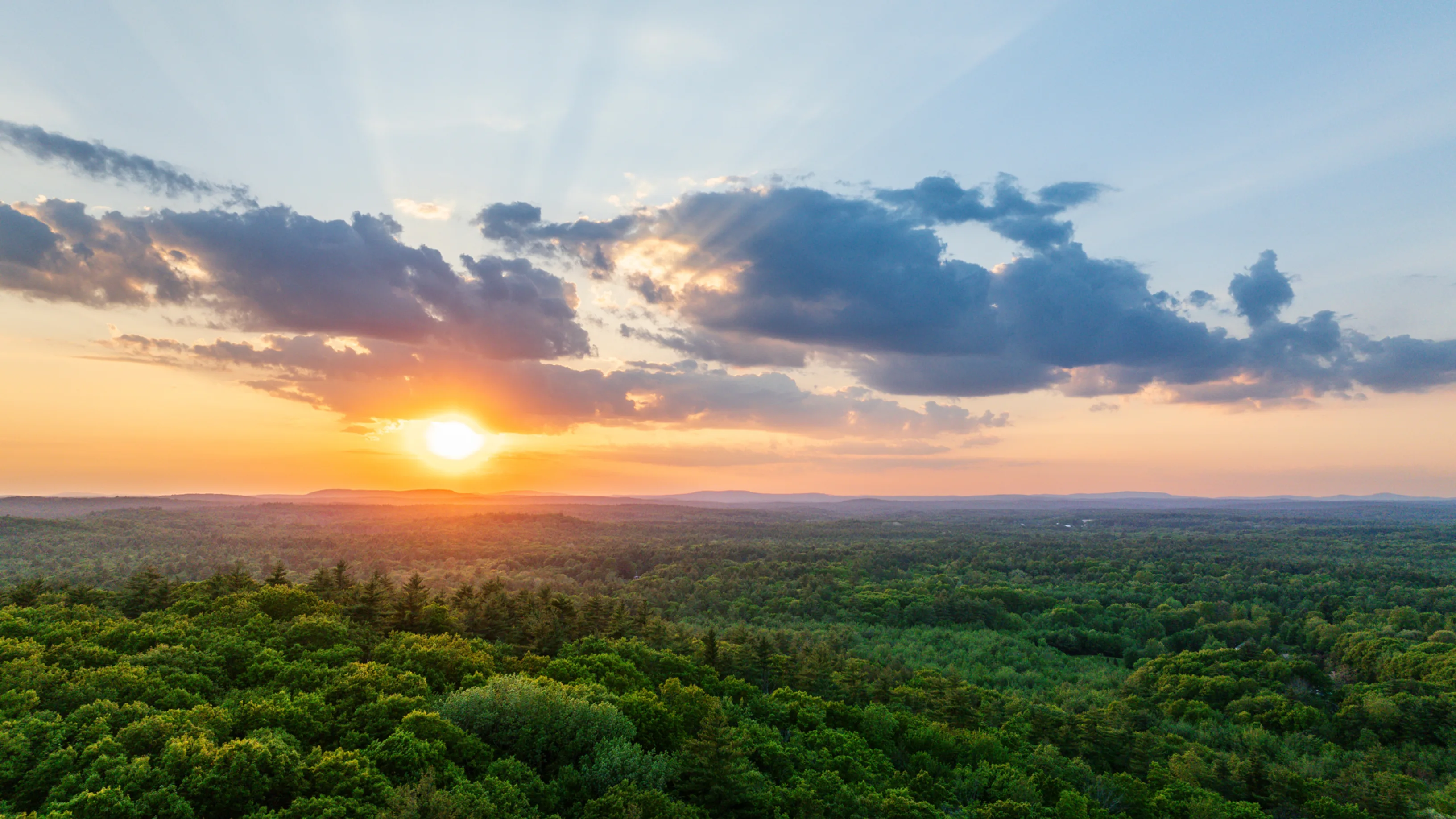 A sun setting over a green forest, with clouds in front of the sun.