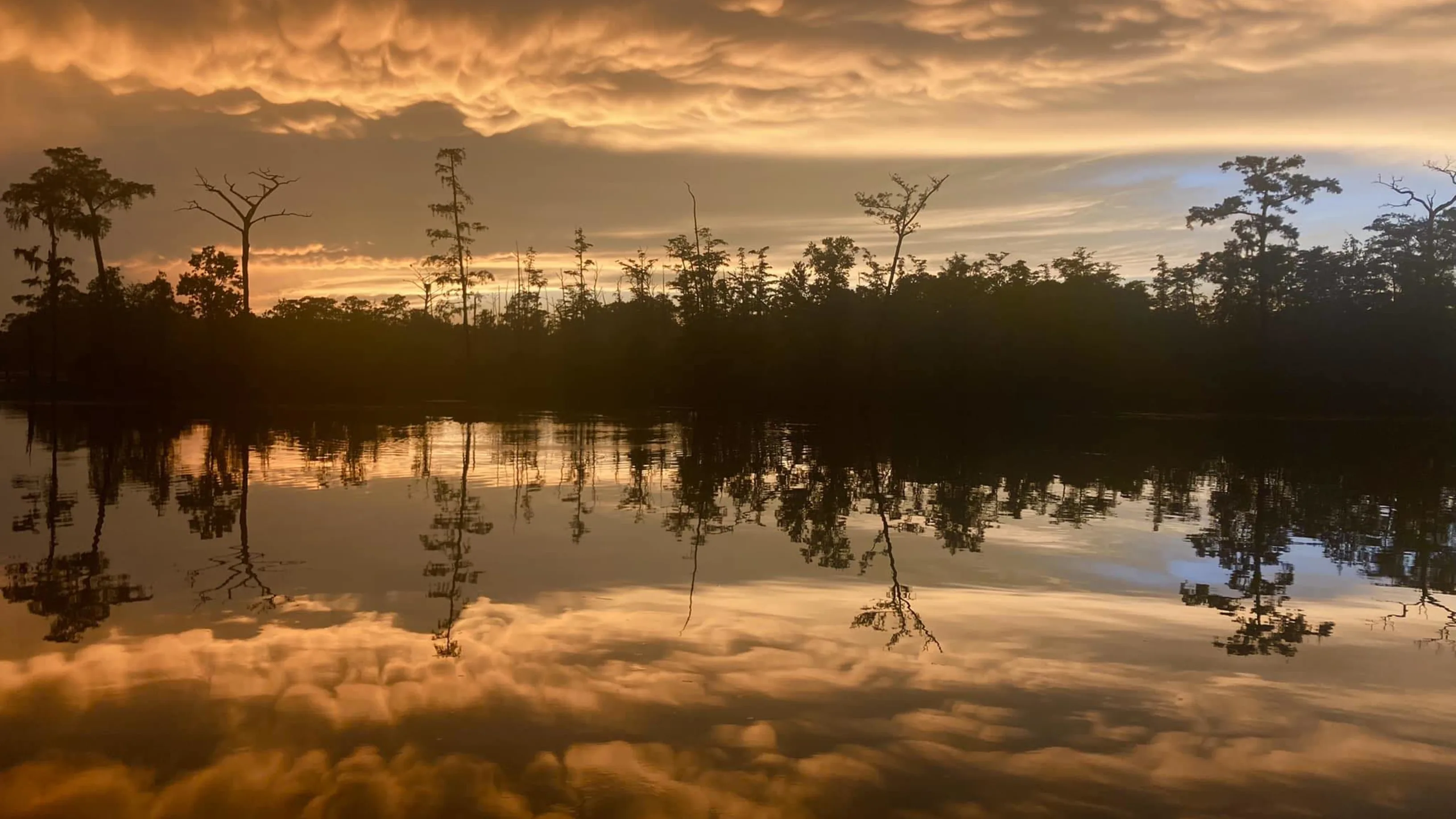 Trees surrounding a river that are reflecting in the river, as well as clouds reflecting.