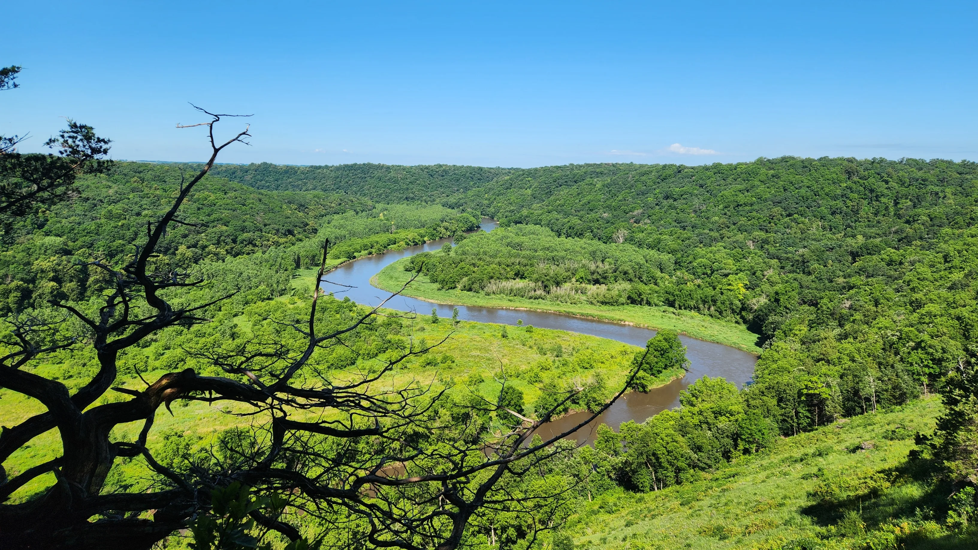 A winding river surrounded by green trees