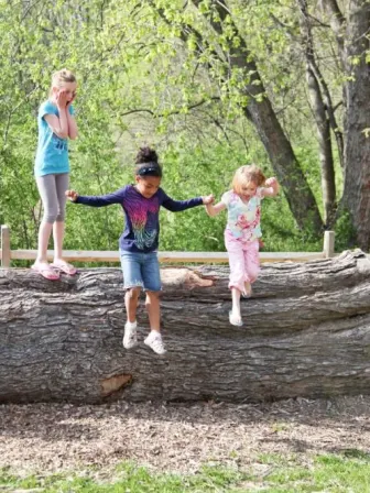 Two children jumping off of a large log with another child behind them looking shocked with her hands on her face.