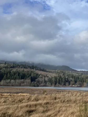 Light rainbow over water and trees, surrounded by a browning field