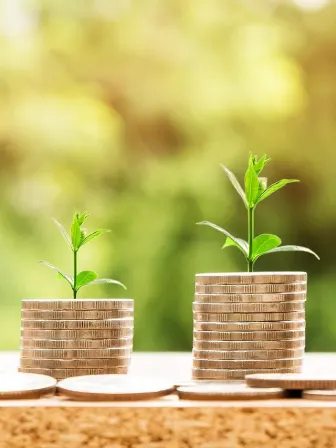 Photo of coins stacked up with seedlings coming out of them.