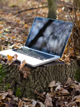 Laptop sitting on a stump