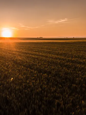 Sun setting over a field with farm buildings on the horizon