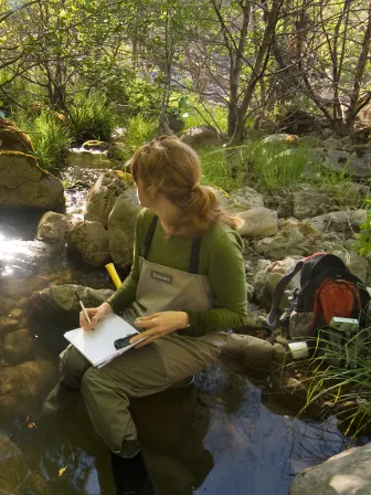 Person wearing coveralls and rubber boots sitting on a rock next to a stream surrounded by woods with feet in the water, writing on a clipboard with a backpack behind them.