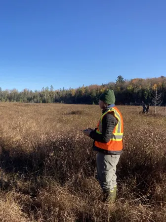 Someone standing in a field wearing a reflective vest holding a remote control while a drone flies above out toward the field.