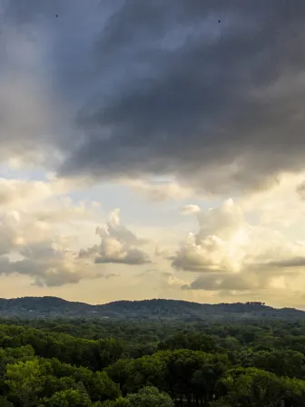 A forest of green trees with a mountain range in the background and large dark colored clouds above them