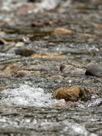 Water flowing over rocks