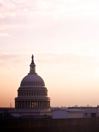 U.S. Capitol dome from afar