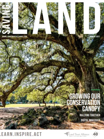 Cover of Saving Land that has a large tree with many branches and leaves, that says "Growing Our Conservation Canopy" in large lettering, followed by "Rallying Together" and "Digital Makeover" in smaller font.