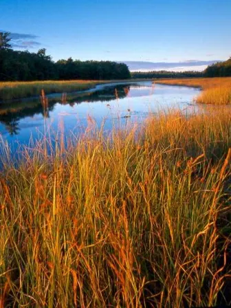 River surrounded by brown grass and trees.