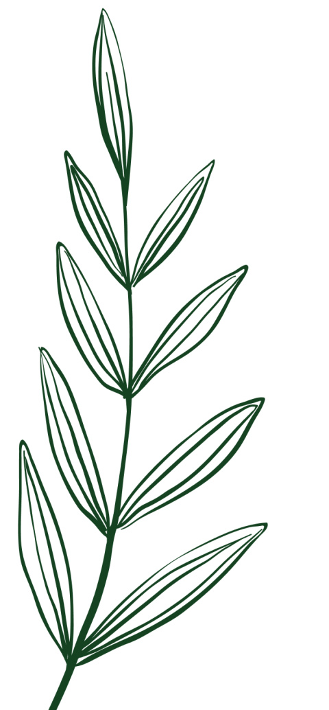 Varen (groen-rechts).png