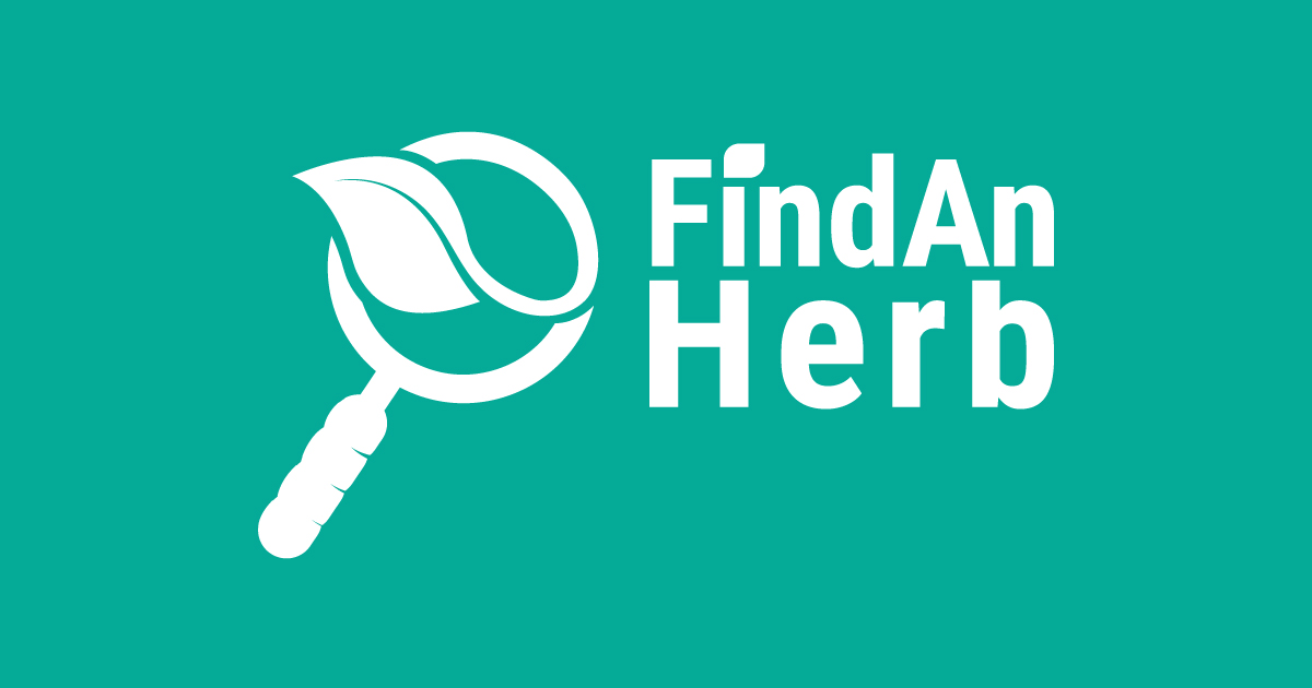 Hemlock Spruce
