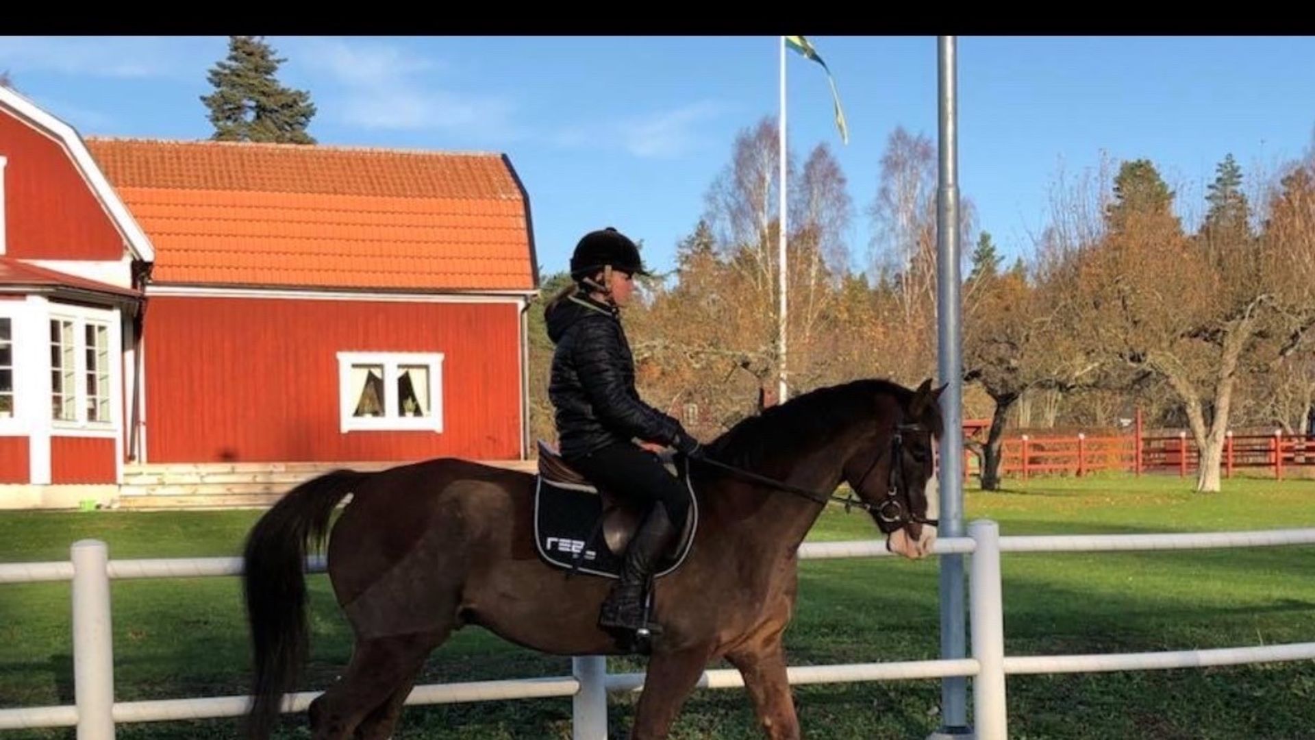 Paulin Åkerberg gick Ridning på Realgymnasiet i Linköping