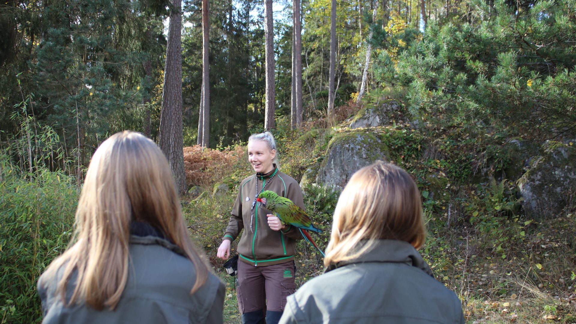 Elever på Realgymnasiet bidrar till arbetet med att bevara utrotningshotade djur på Kolmårdens Djurpark