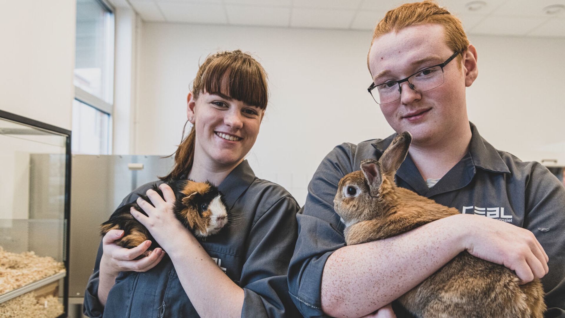 Grundläggande och särskild behörighet 