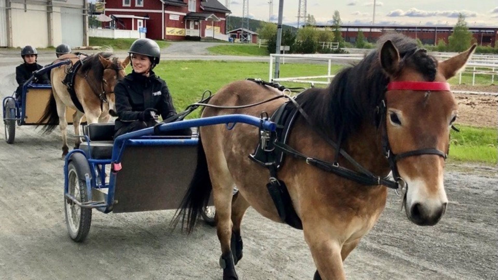 Träffa Filippa som läser Trav