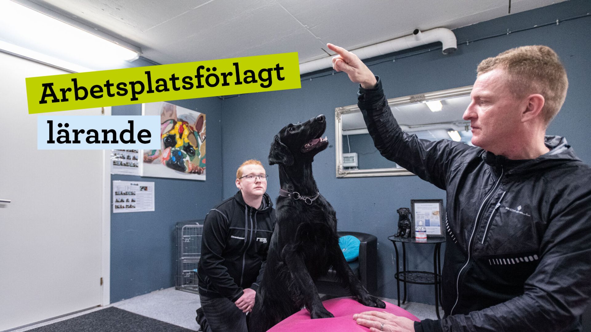 Försprång ut i arbetslivet med APL