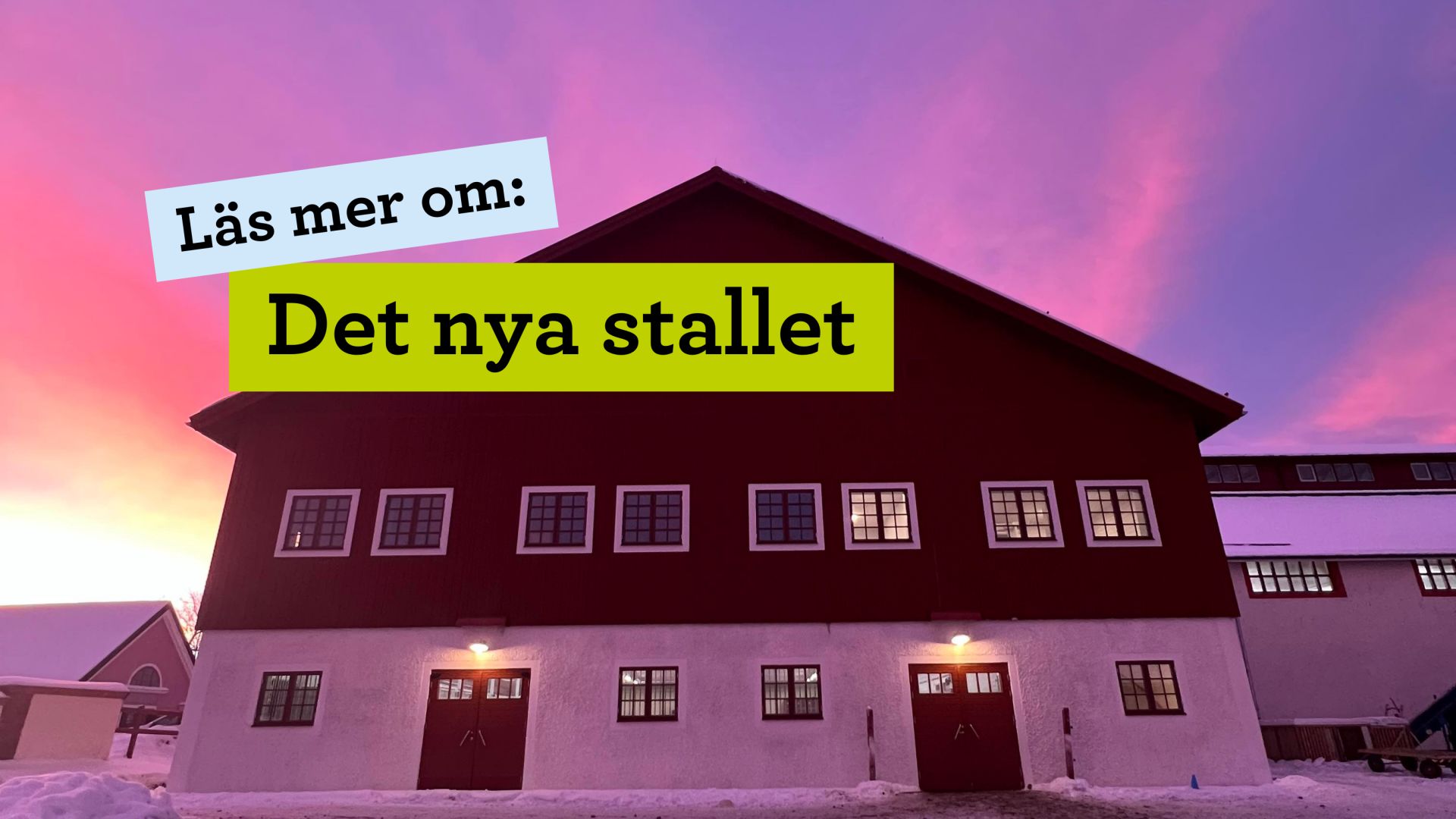 Hästarnas nya hem 