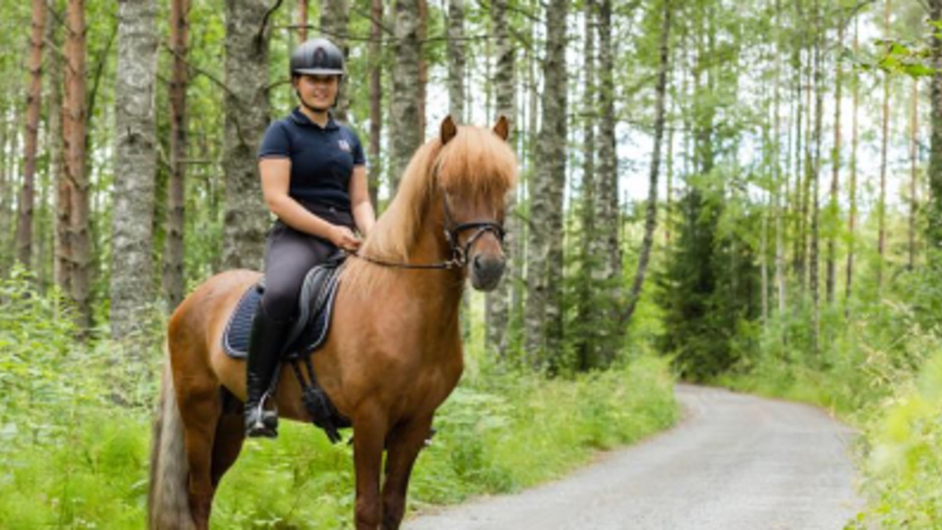 Unik Möjlighet för Hästentusiaster – Specialisering i Islandshäst.  