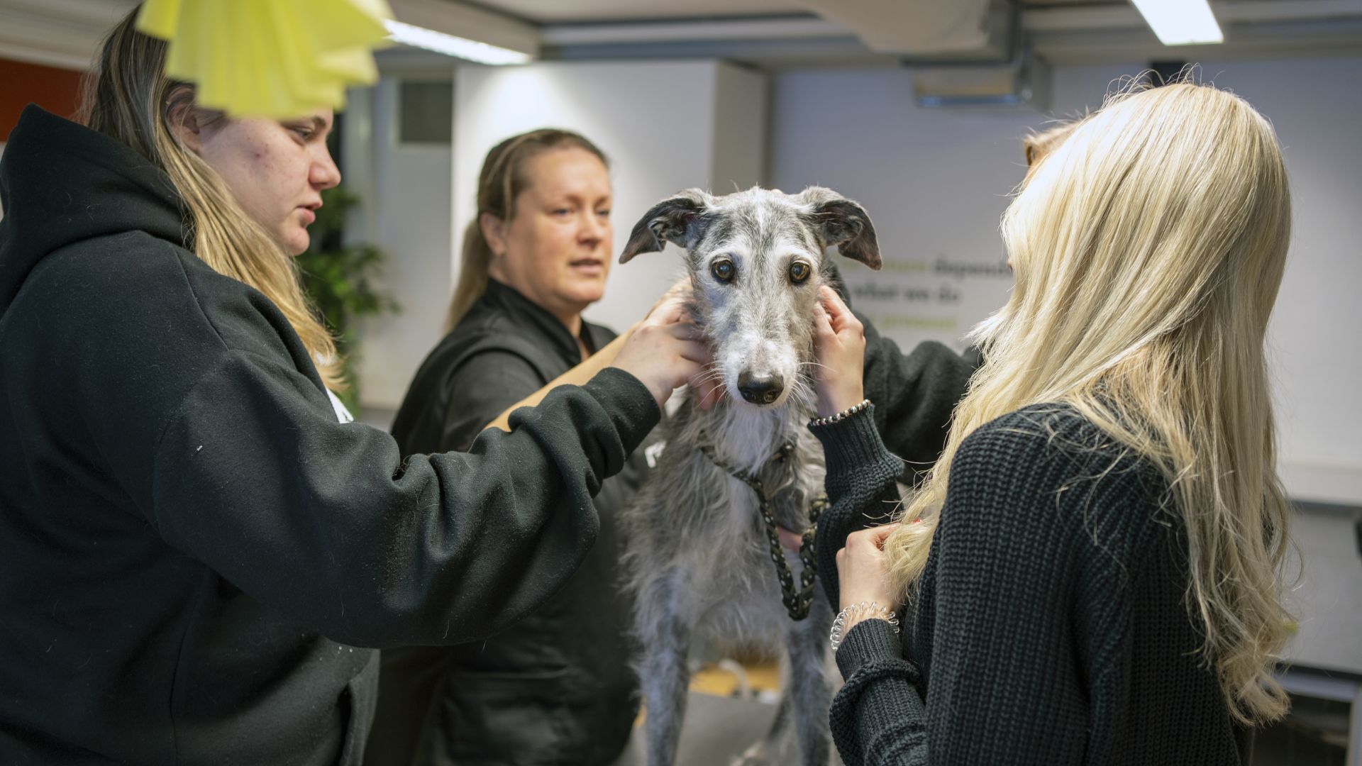 Enkät visar på nöjda och trygga elever