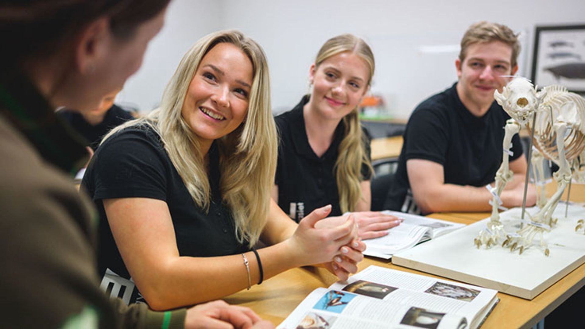 Skolverket: Fem myter om yrkesprogram