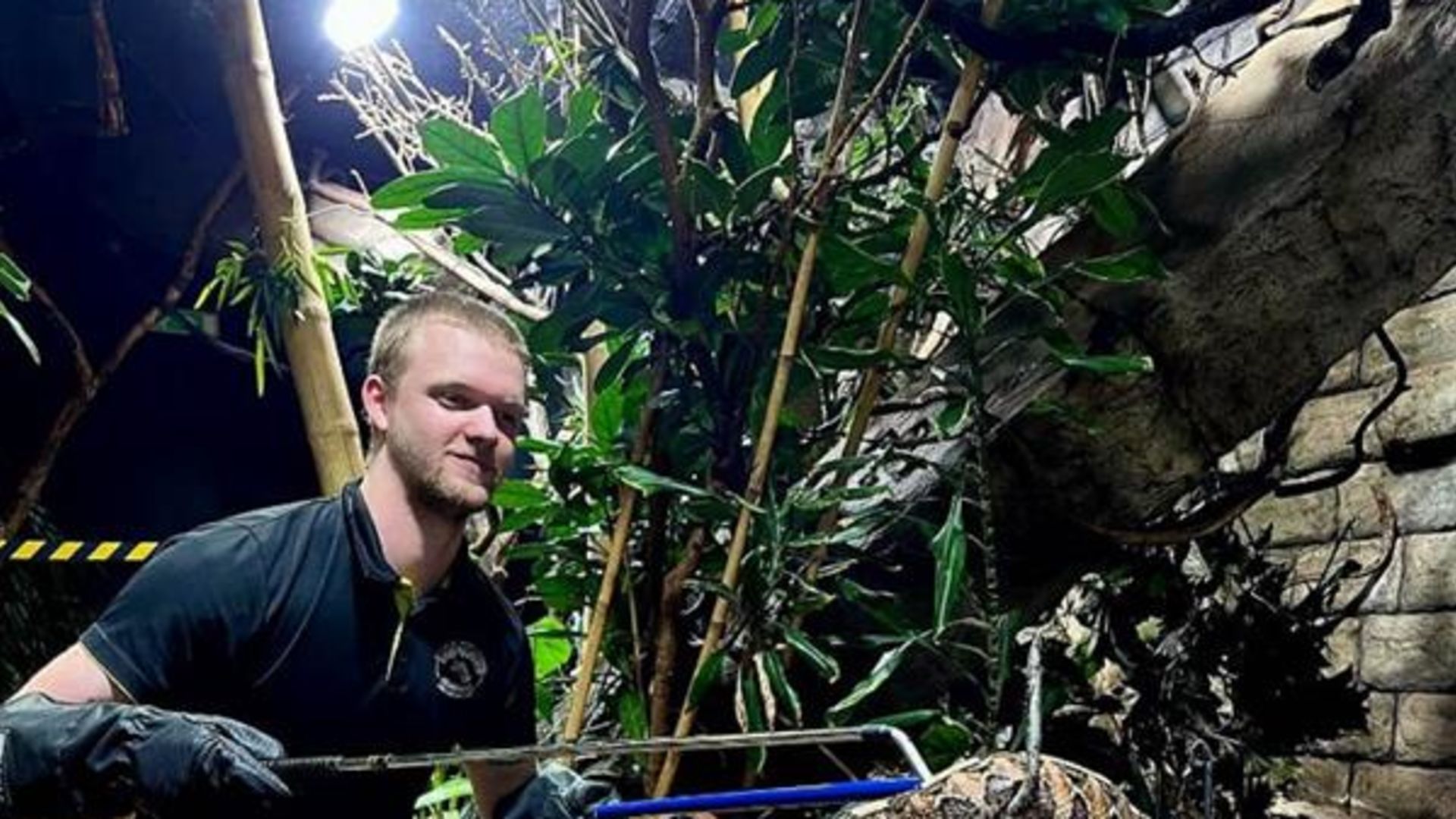 Alumnporträtt: Träffa William som älskar reptiler