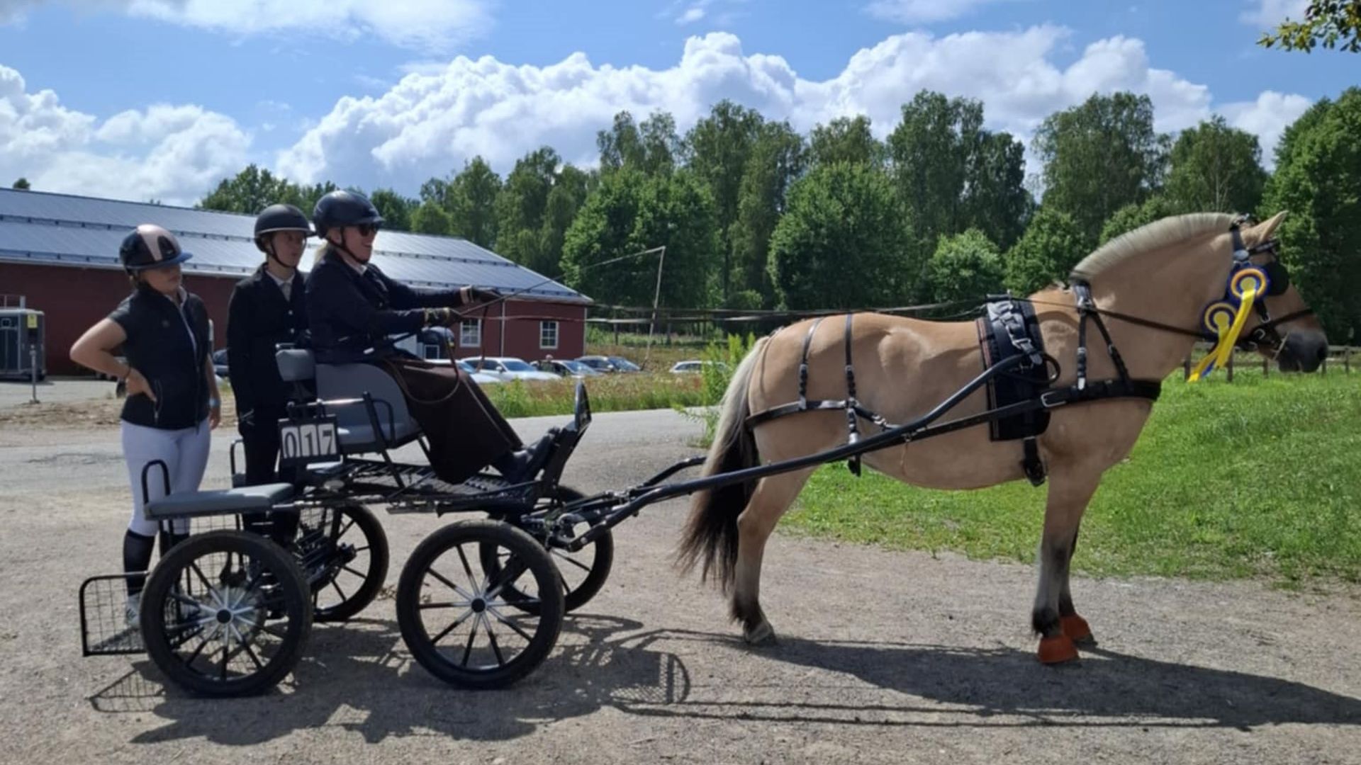 Grattis till sommarens framgångar