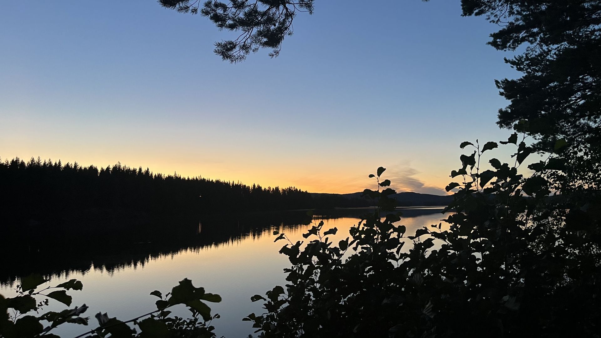 Ut på tur med Naturturism