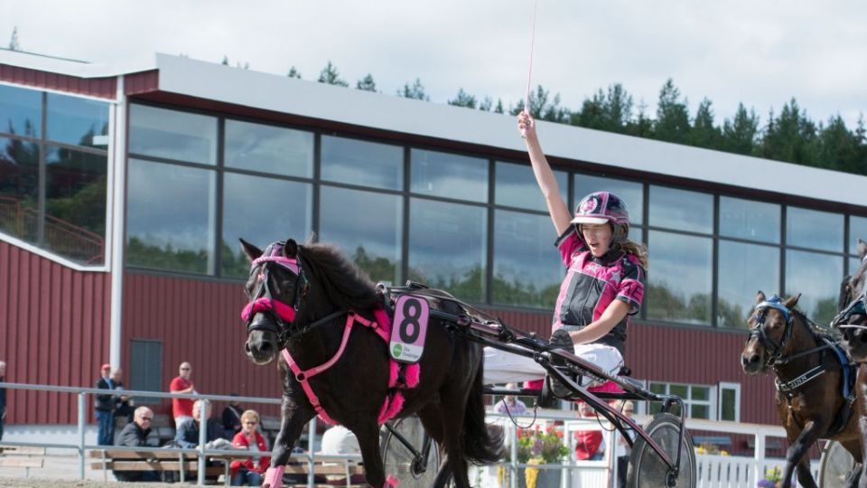 Anna åker till Stall Zet på höstlovet.