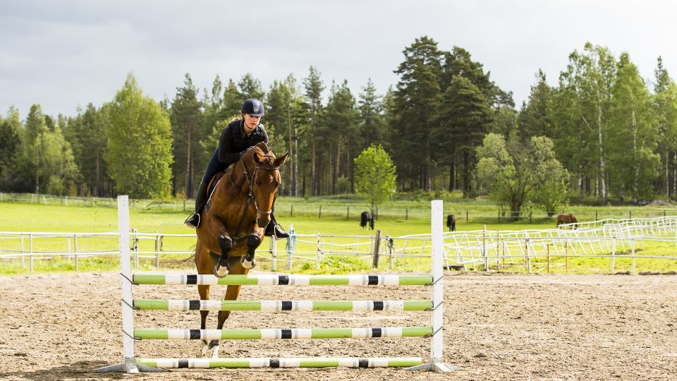 Träna för elittränare i branschen!