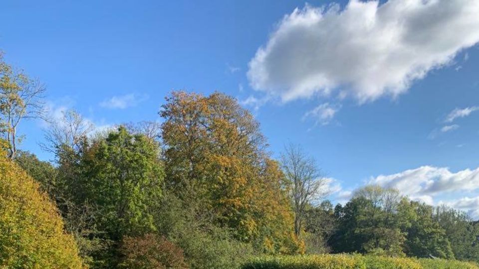 Studiebesök på Gunnebo Slott och Trädgårdar